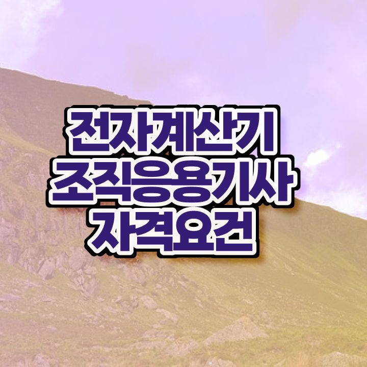  전자계산기조직응용기사 시험응시자격 학점은행제로 쉽고 빠르게 성공한 노하우