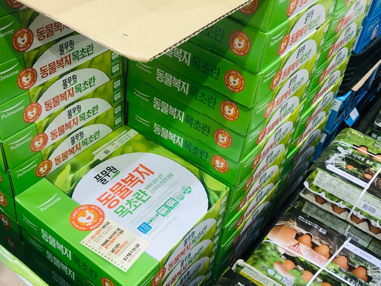  5월 셋째 주 코스트코 계란 우유 샐러드 요거트 할인 상품
