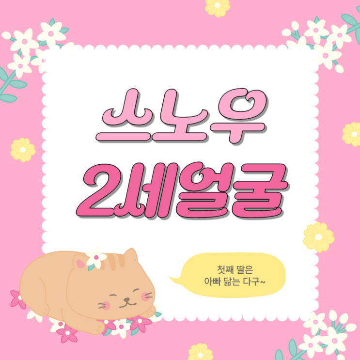  2세 얼굴 어플 스노우 하는 방법 절망편과 희망편