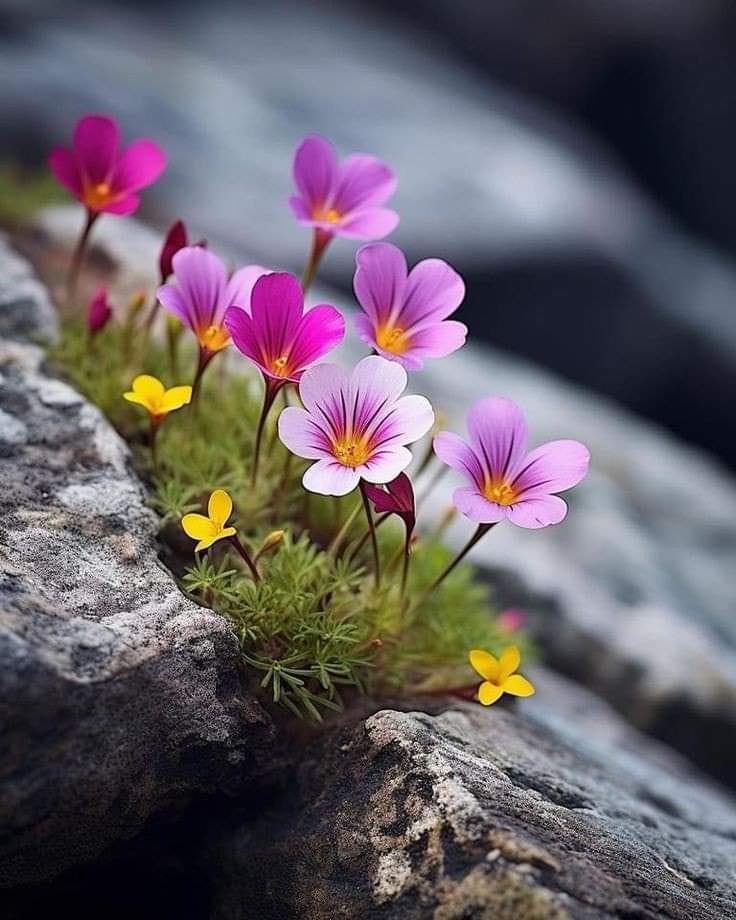   오늘의 생활정보 (2024-05-14, 화)