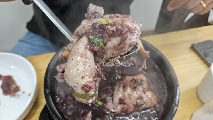 제주 화북동삼계탕 춘화네삼계탕 복날에는 여기입니다 제주 화북동삼계탕 춘화네삼계탕 복날에는 여기입니다