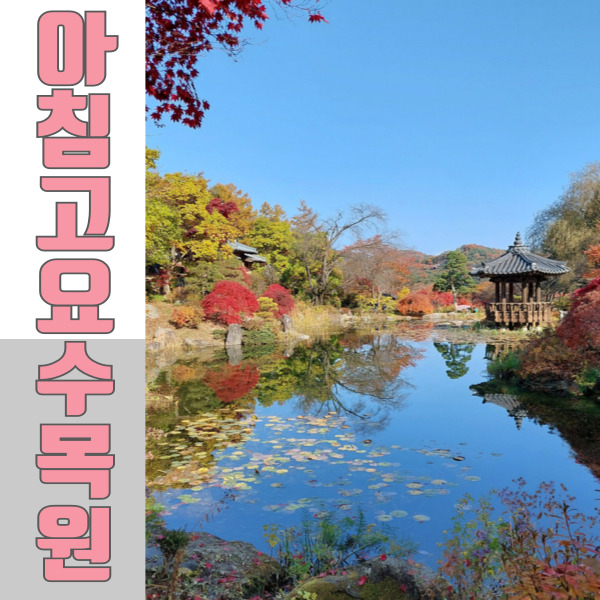  가평여행지 아침고요수목원 4월 봄에 스며들 준비