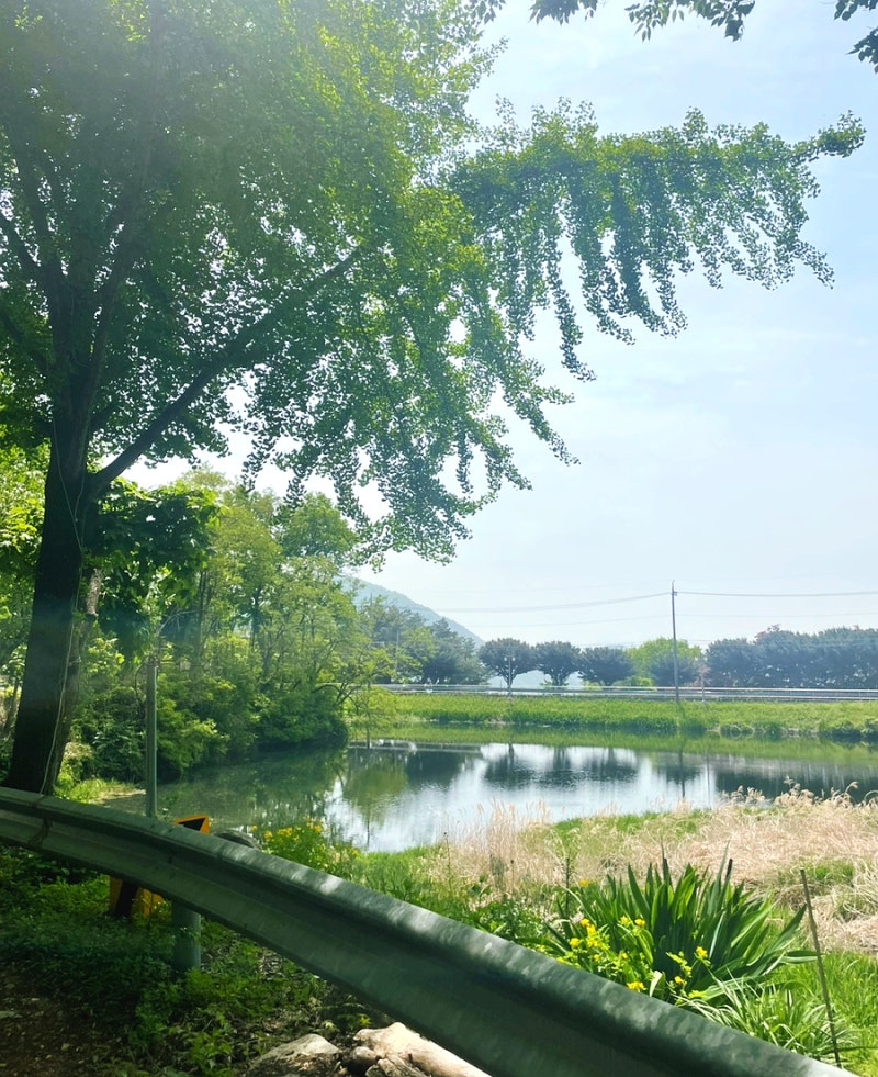 사진 2