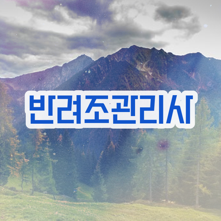  앵무새 발정기 , 반려조관리사 자격증 온라인으로 간단히 취득한 노하우 , 취업정보