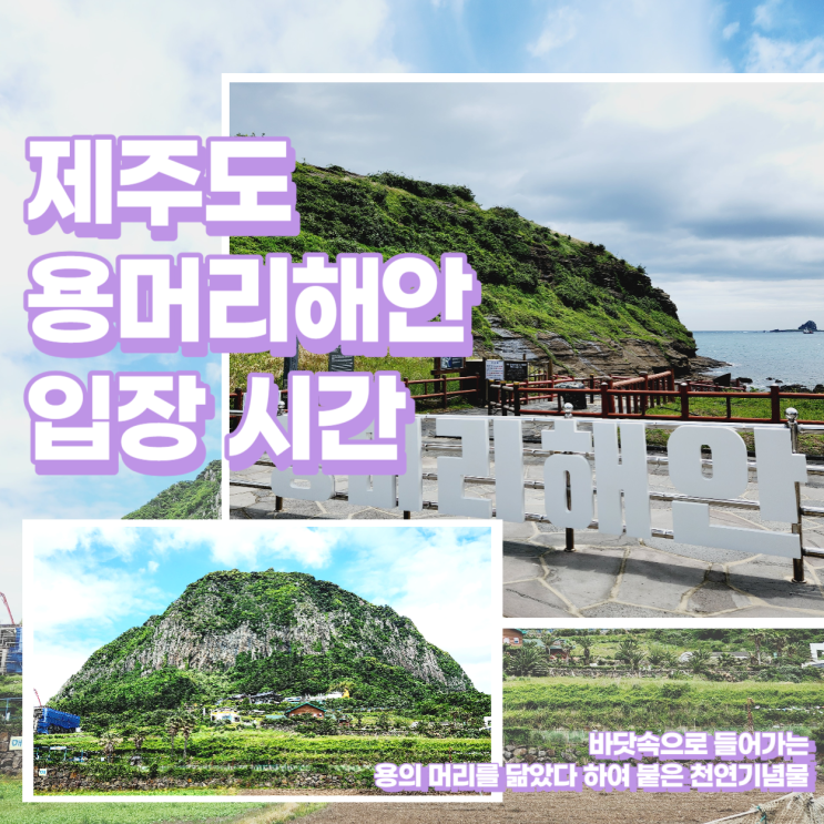  천연기념물 제주 용머리해안 관람시간 및 입장료
