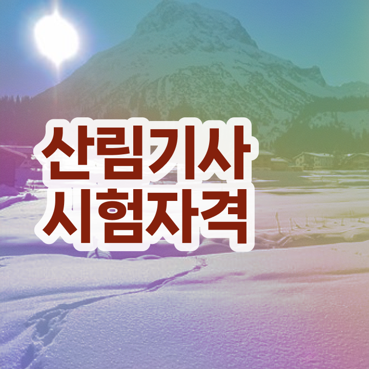  산림기사 직업 산림기사 응시자격 온라인으로 1학기 만에 준비한 후기
