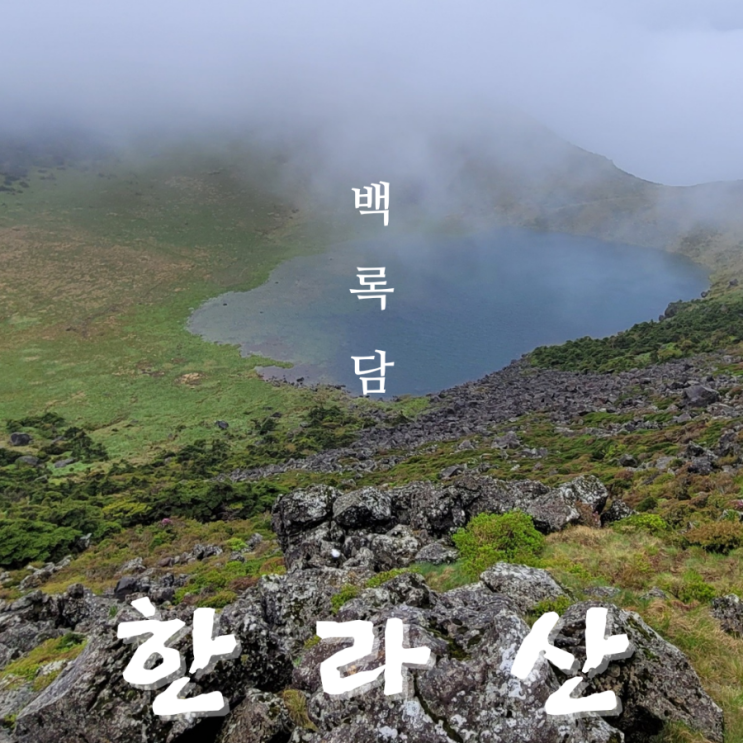  성판악 코스 탐방로 예약하고 한라산 정상에서 백록담 등반 인증샷