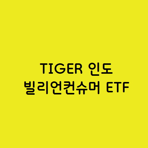  TIGER 인도빌리언컨슈머 ETF 추천