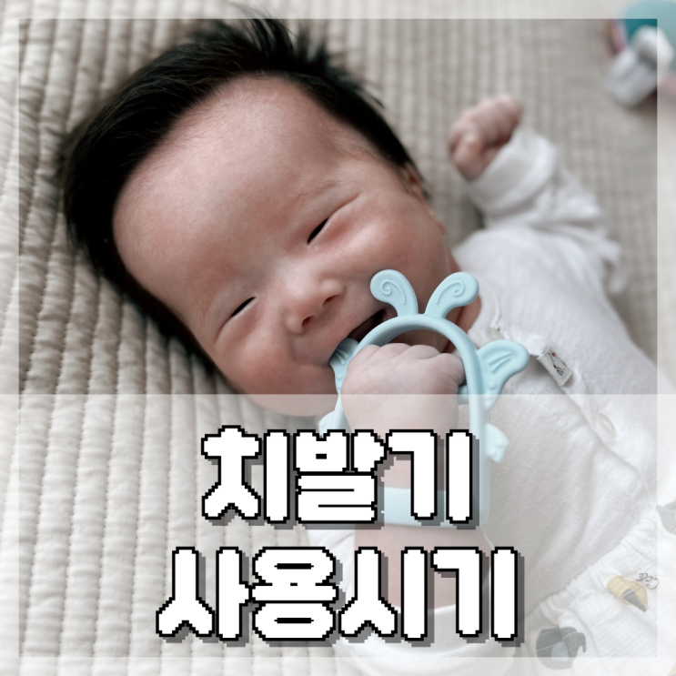  소근육발달, 치발기 사용시기 및 제품 추천 리뷰