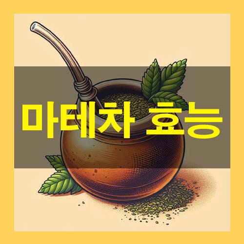  마테차 효능 부작용 임산부