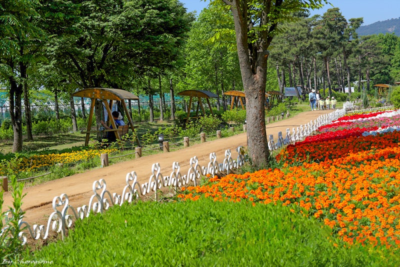 사진 4