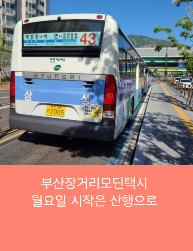  《월요일 시작은 산행으로》