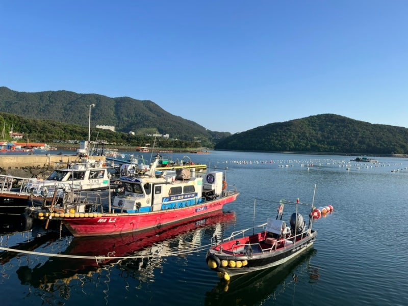사진 6
