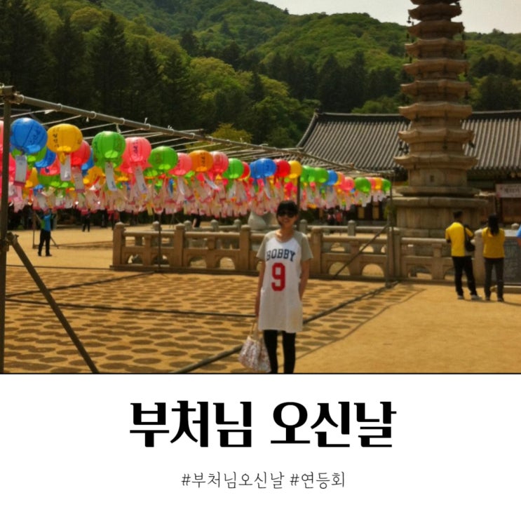  부처님오신날 가볼만한 사찰 모음