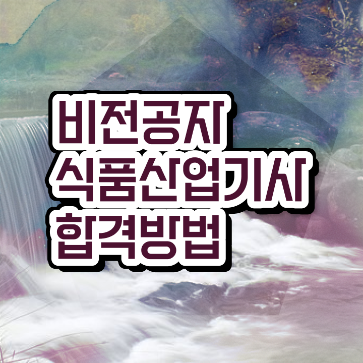  식품산업기사 필기 합격 식품산업기사 응시조건 집에서 온라인으로 1학기에 끝낸 과정