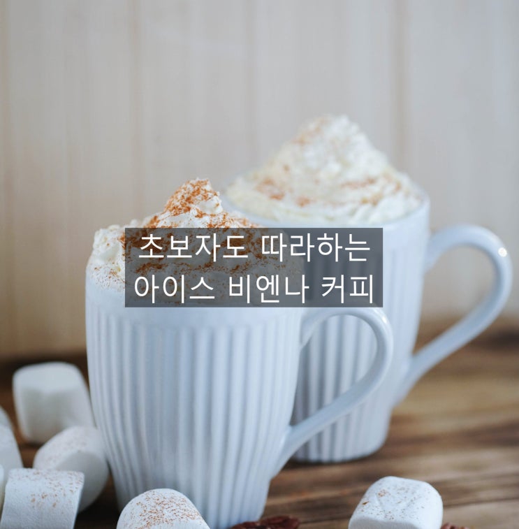  깔끔하고 부드로운 크림 커피 아이스 비엔나 커피 이야기~~