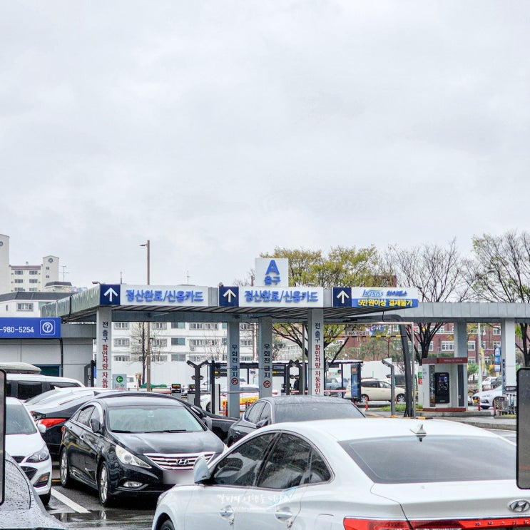  대구공항 주차장 요금 무료 주차장 위치 알려드려요