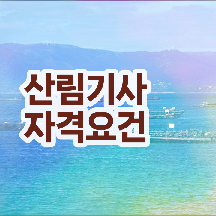  산림기사 학점은행제 산림기사 응시자격 독학으로 간편하게 준비한 비법