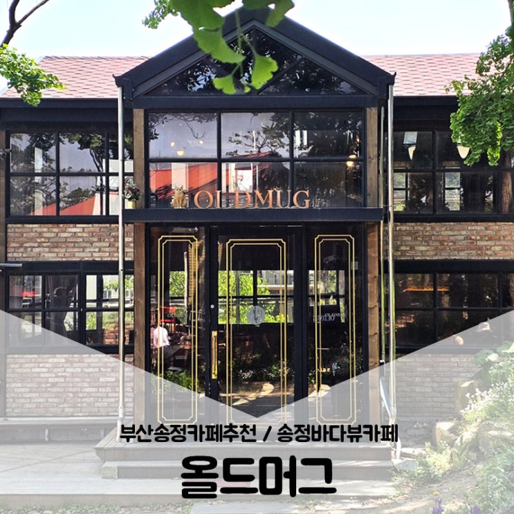  부산송정카페 / 송정바다뷰카페 파랑파랑하고 초록초록한 올드머그