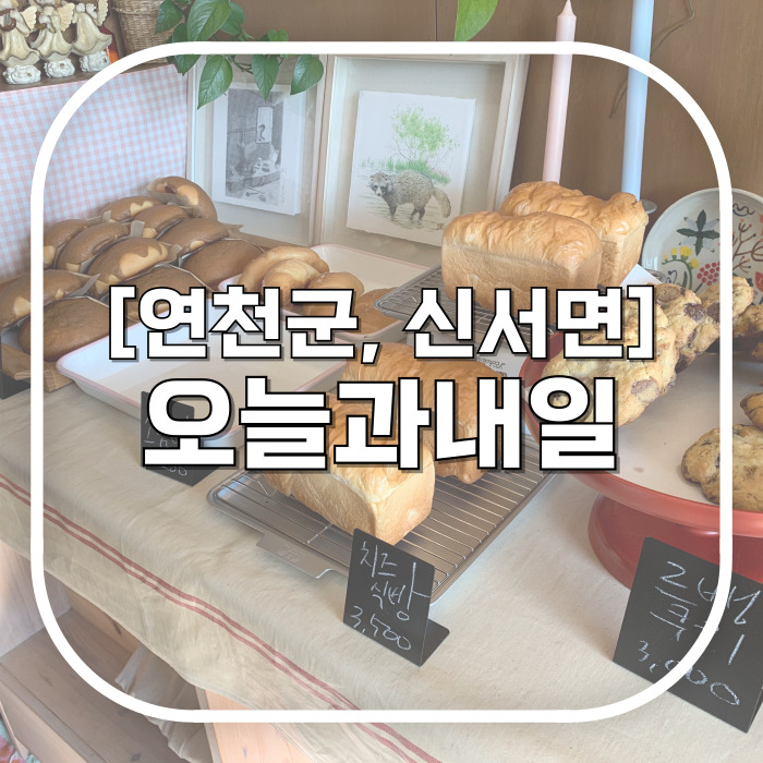  [연천군, 신서면] 오늘과 내일 / 연천여행(2) - 연천 빵집 겸 책방 아늑한 공간에서 힐링하기 내돈내산