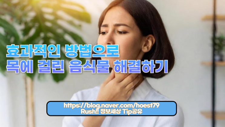  생선 가시부터 큰 음식물까지, 목에 걸린 음식을 안전하고 효과적으로 제거하는 방법을 소개합니다. 지금 바로 확인하세요!