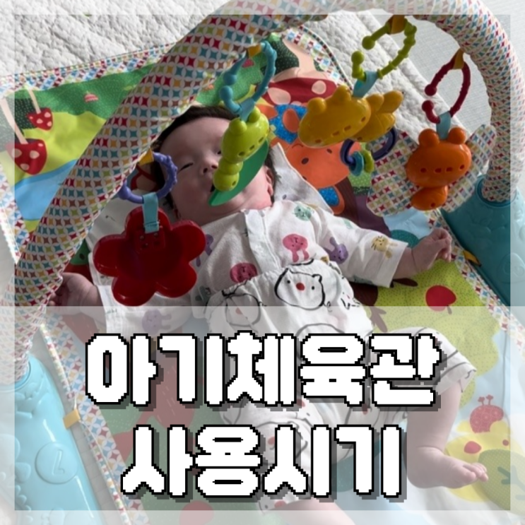  아기체육관 언제부터? 3개월 아기 오감발달 장난감 추천 사용시기