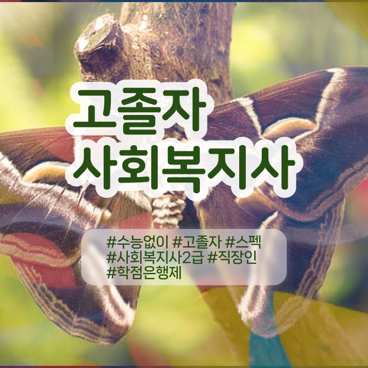  사회복지 학점은행 , 전문학습멘토 덕분에 목표로하던 학위를 취득했어요