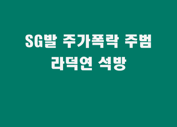 SG발 주가폭락, <b>라덕연 보석 석방</b>(역시 인생은 한방!)