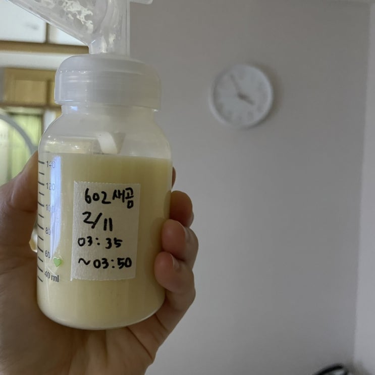 일산 화정 더플라워 산후조리원 만족 후기