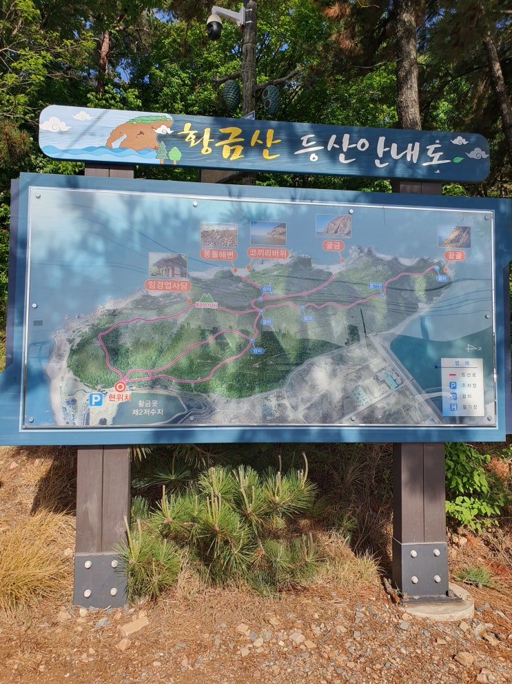  서산 여행 황금산 몽돌해변 코끼리바위 삼길포항 추천