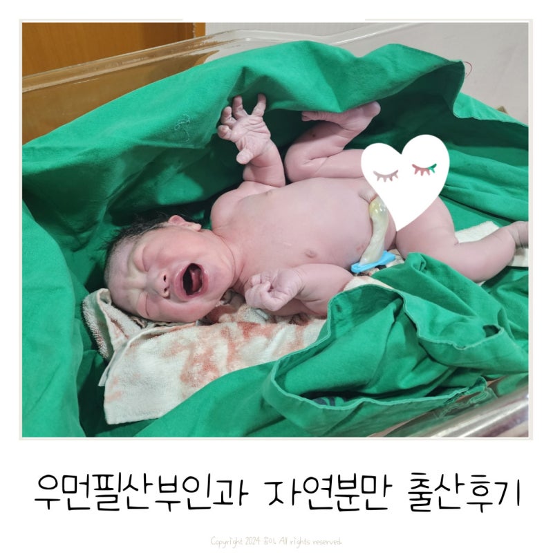 (출산후기) 오산여성필산부인과 38주 4일 자연분만 후기