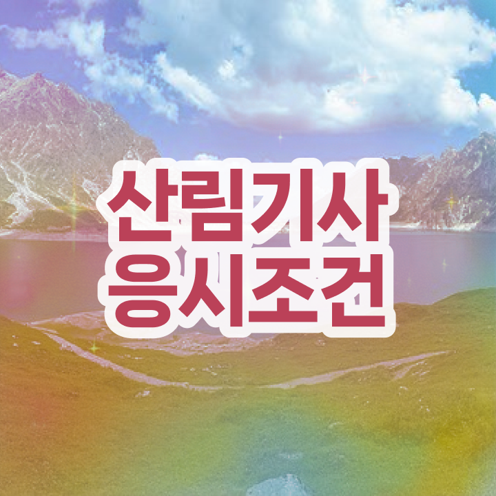  산림기사 자격증 산림기사 취득자격 집에서 온라인으로 4달 안에 준비한 전략