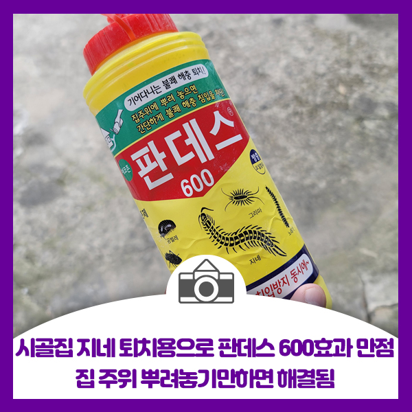  시골집 지네, 벌레 퇴치용으로 판데스 600 효과 만점, 집 주위에 뿌려놓기만하면 해결됨