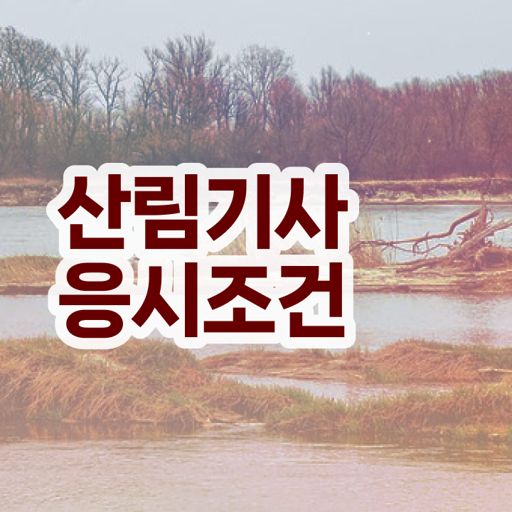  산림기사 필기 난이도 산림기사 시험자격 온라인으로 1학기에 성공한 노하우
