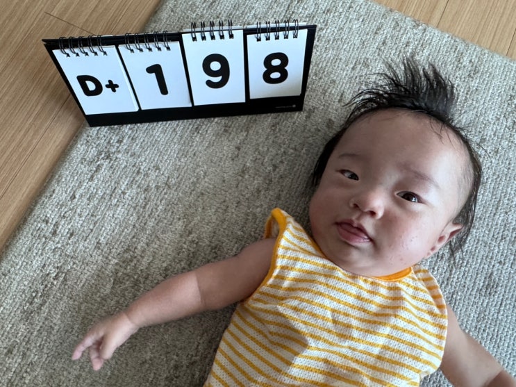 노란색이 잘어울리는 도담이 D+199 노란색이 잘어울리는 도담이 D+199