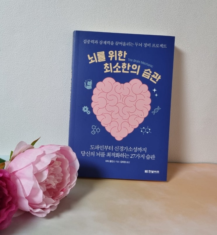  집중력과 잠재력 자기계발도서, 피터홀린스 뇌를 위한 최소한의 습관