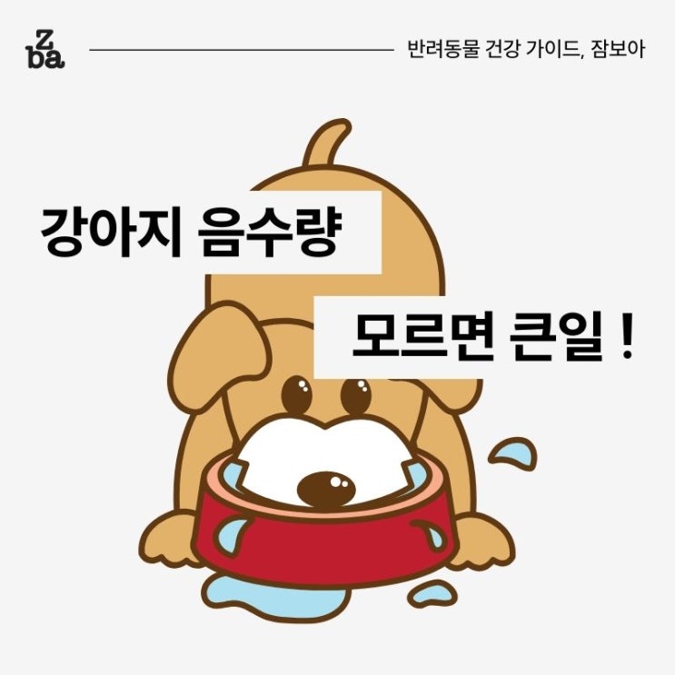  강아지가 물을 너무 많이 마셔요? 음수량 계산법