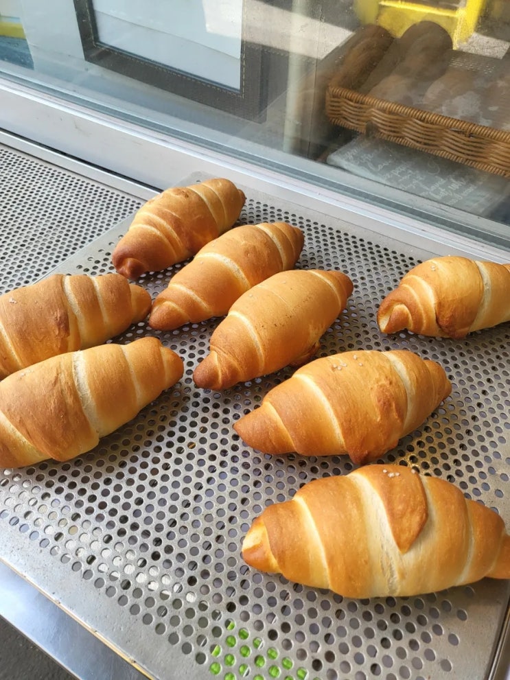  빵도시 대전 오류동 떡집인데 소금빵 찐맛집!_광덕떡방앗간