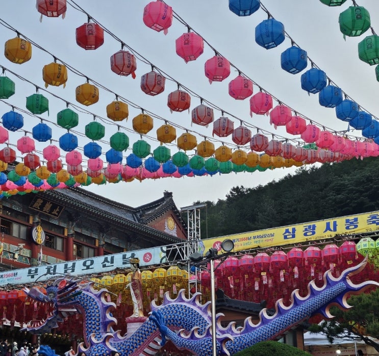  부산 삼광사 연등축제 후기