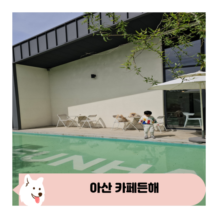  수영장 있는 아산카페 애견동반 키즈케어존 카페든해