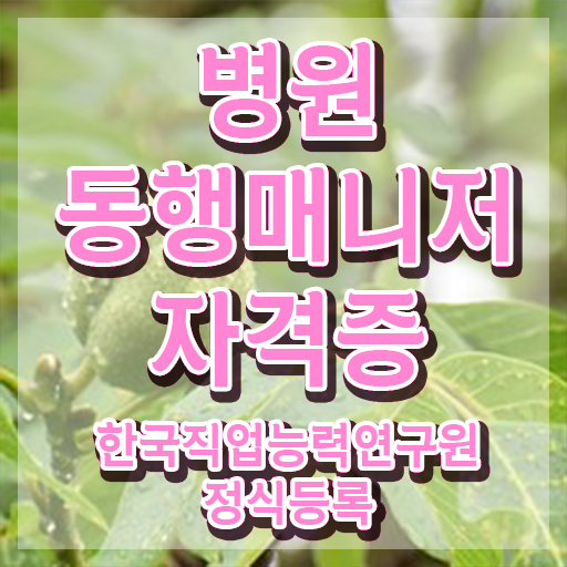 병원동행매니저 지원자격 병원동행매니저자격증 준비 과정 및 향후 전망