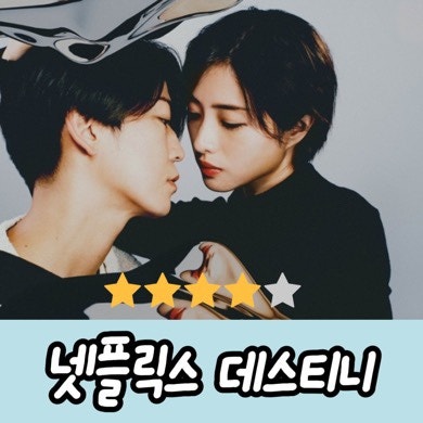 데스티니 일드 넷플릭스 드라마 몇부작 고멘걸 이시하라사토미 복귀작품