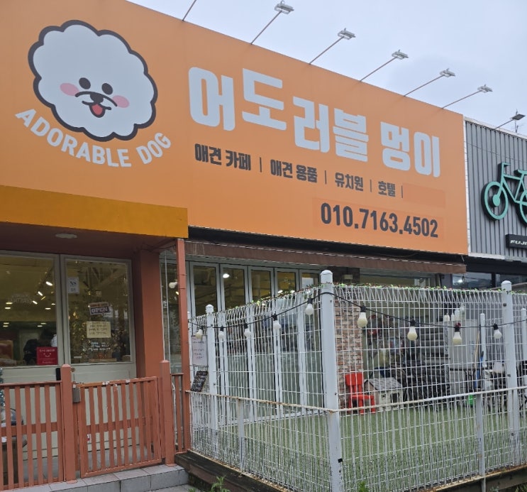  구미 인동 진평동 애견카페 <어도러블멍이>