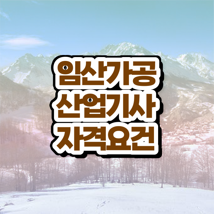  임산가공산업기사 임산가공산업기사 취득자격 인강만 듣고 4달 안에 준비한 방법