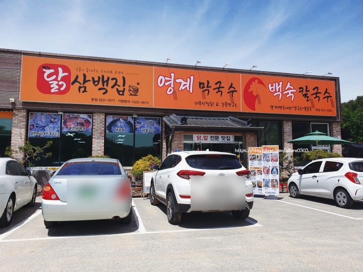  천안소노벨맛집 닭삼백집에서 시원한 막국수와 이북식찜닭 세트