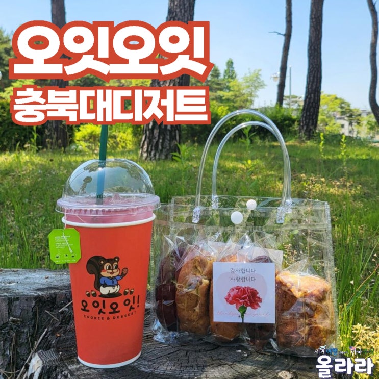  충북대디저트 오잇오잇 쿠키 맛집 선물