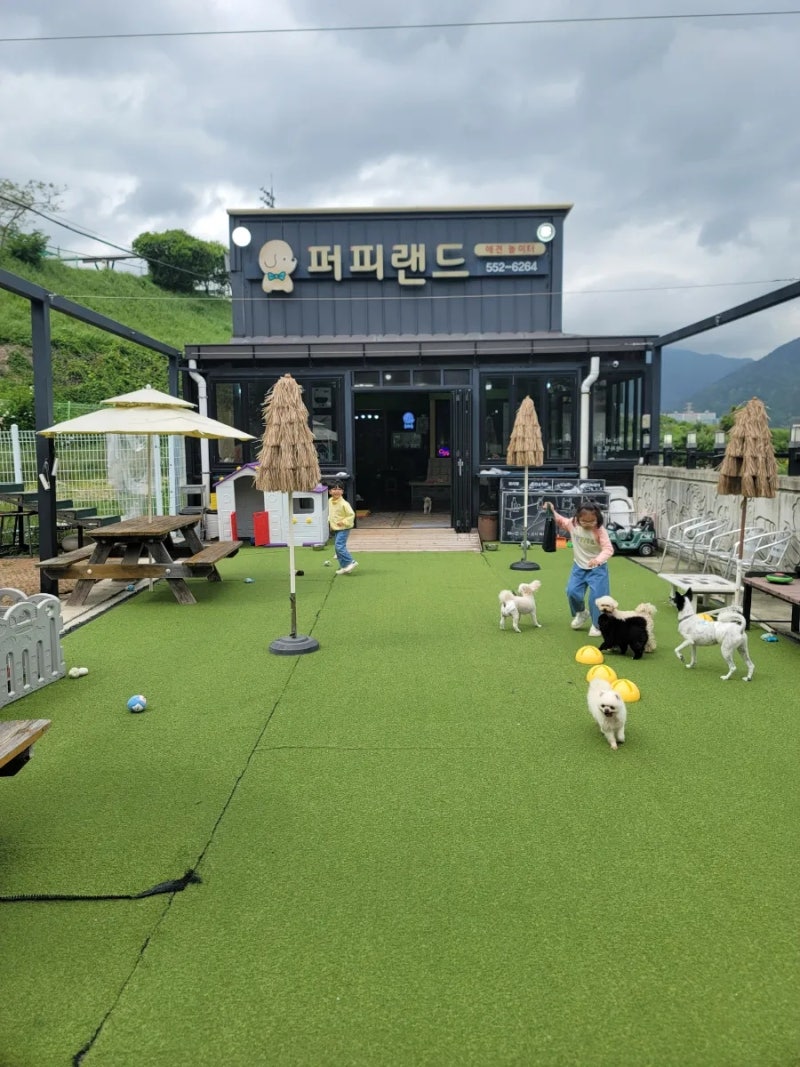 퍼피랜드애견카페 — 창원시