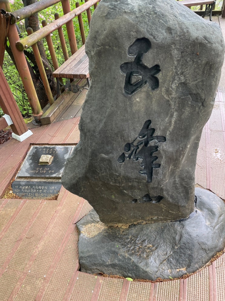  [세종 조치원 오봉산] 등린이 오봉산 등산(등산코스, 위치, 시간, 주차 등)