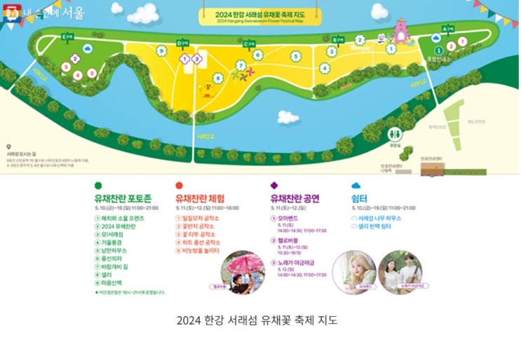  한강 서래섬 유채꽃 축제…업고 튈 사람 없어도 추천