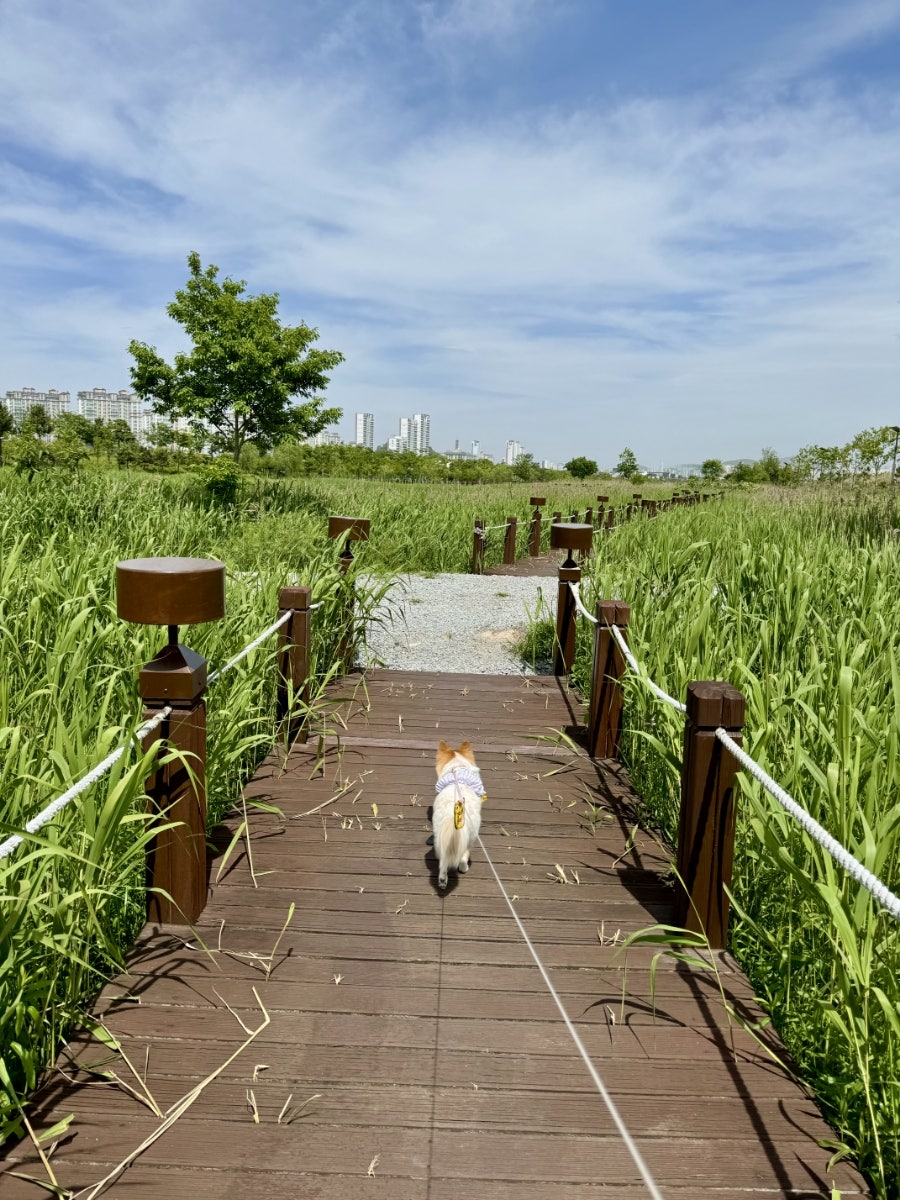 헬로벨로 사진 6